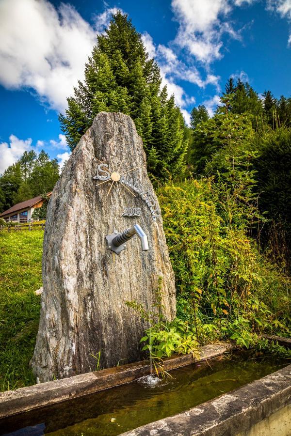 Appartamento Binderhof Weisspriach Esterno foto