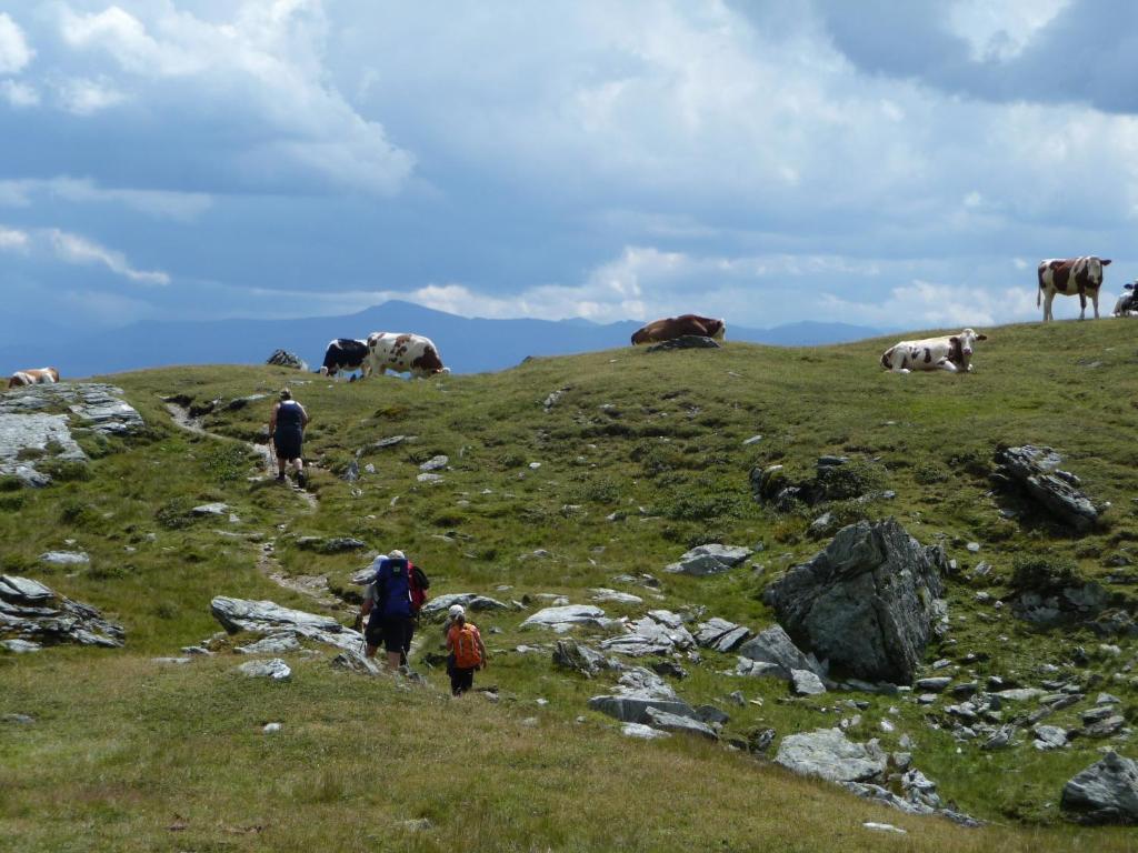 Appartamento Binderhof Weisspriach Esterno foto